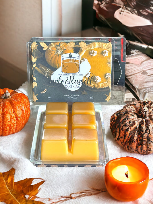 Wax Melt Pumpkin Pie