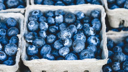 Wax Melt Blueberries